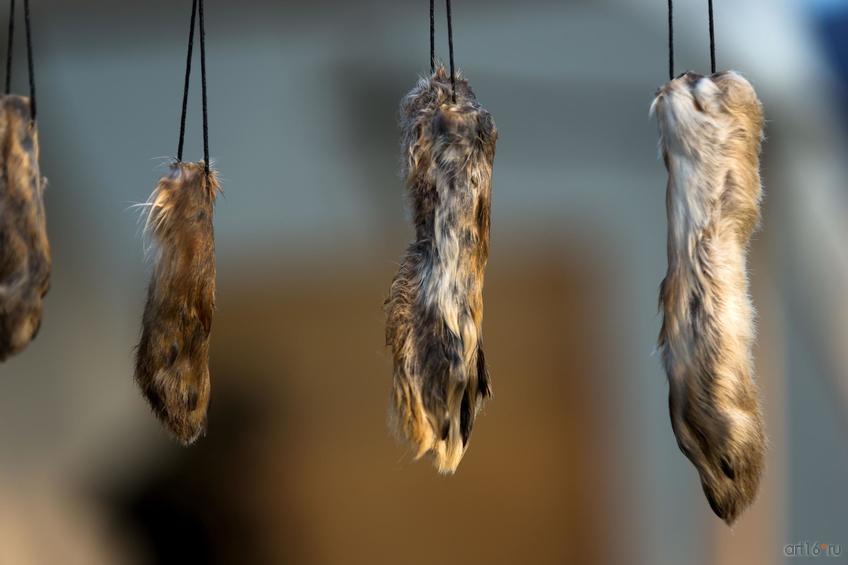 Фото №844996. Art16.ru Photo archive