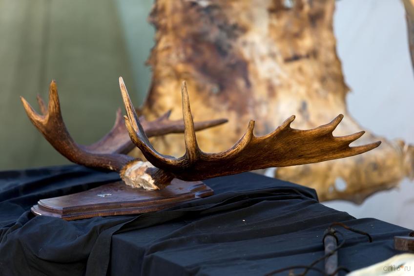 Фото №845002. Art16.ru Photo archive