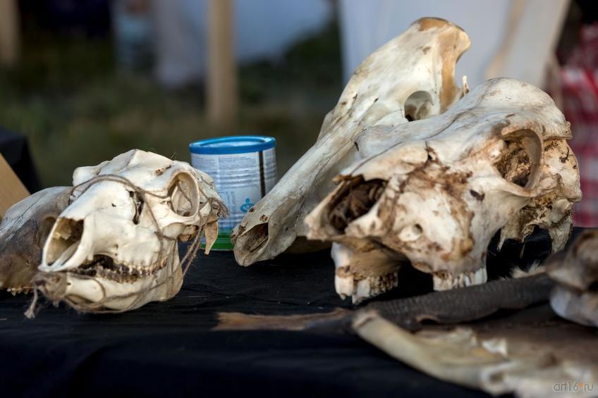 Фото №845014. Art16.ru Photo archive