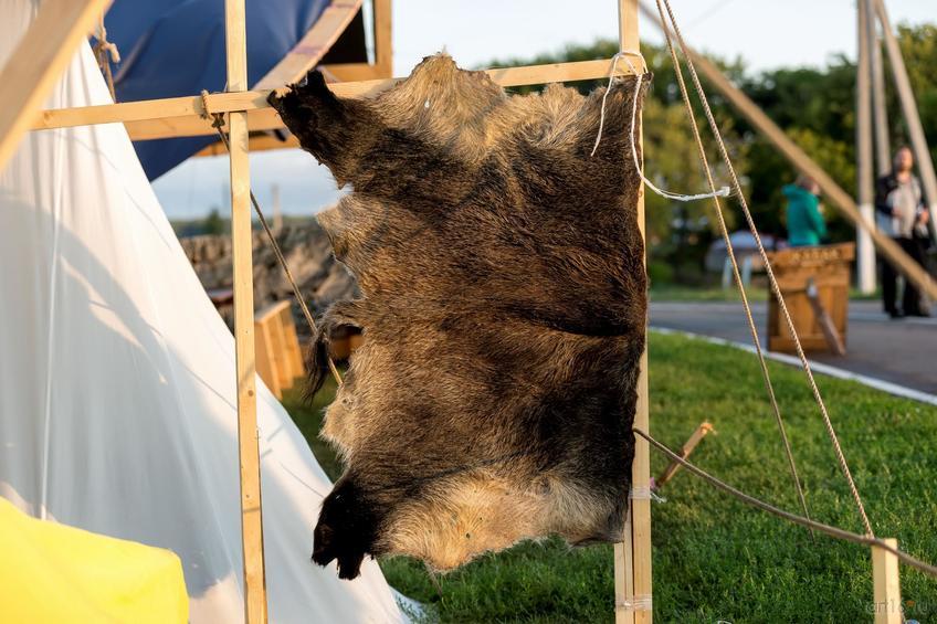 Фото №845026. Art16.ru Photo archive