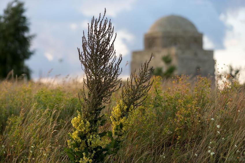 Фото №845068. Art16.ru Photo archive