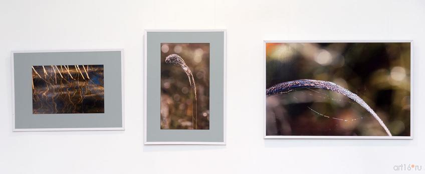 Фото №846651. Art16.ru Photo archive