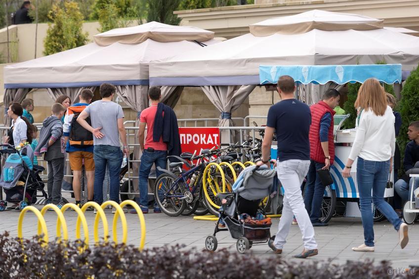 Фото №850150. Art16.ru Photo archive