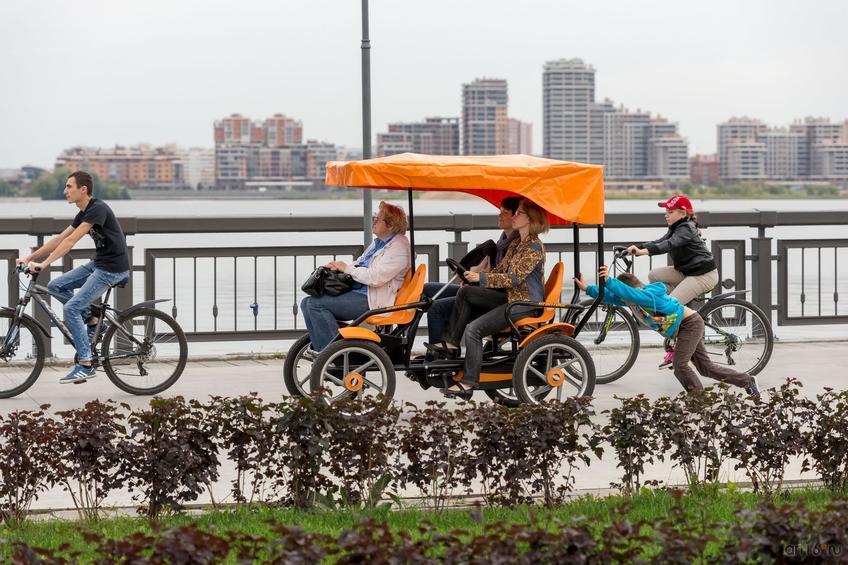 Фото №850180. Art16.ru Photo archive