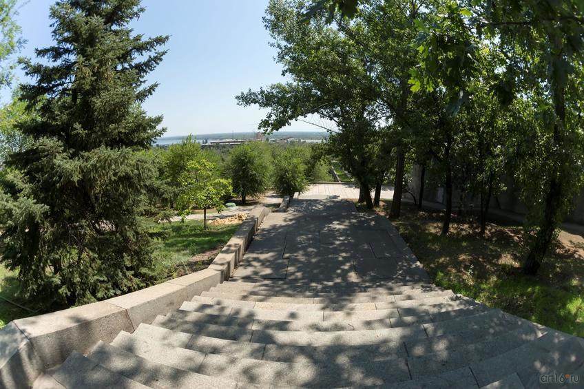 Фото №858433. Мемориальный дендропарк у подножия Мамаева кургана