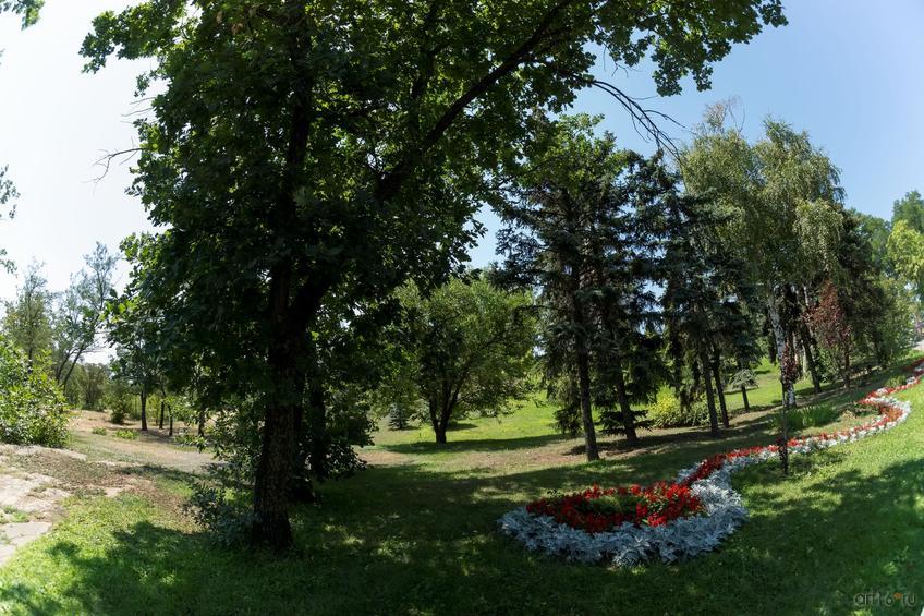 Фото №858529. Дендропарк на Мамаевом кургане, август 2015