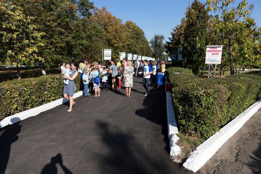 Фото №861858. Аллея одарённых детей Балашовского муниципального района