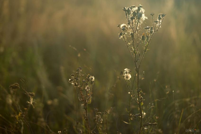 Фото №862907. Art16.ru Photo archive