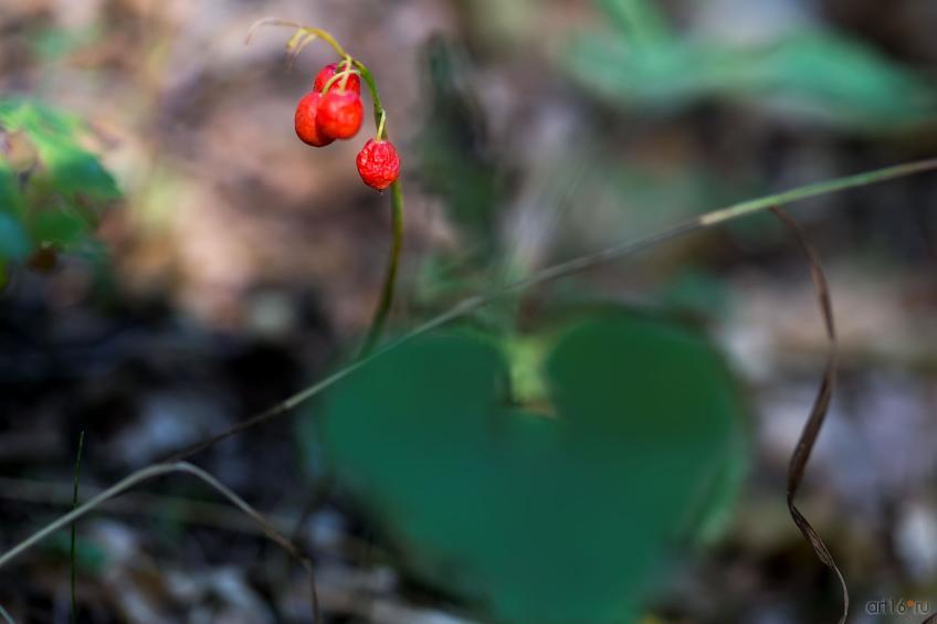 Фото №863183. Art16.ru Photo archive