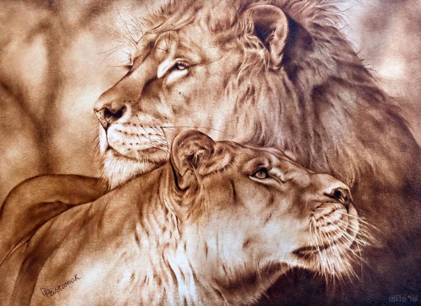 Фото №864365. Дмитрий Пастернак