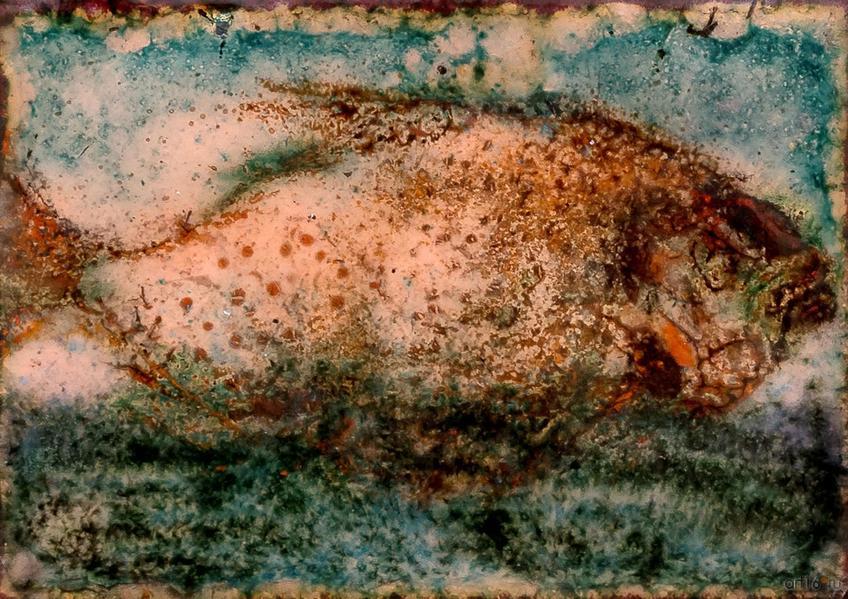 Фото №873181. Лещ большой. 2013. Р.Сафиуллин