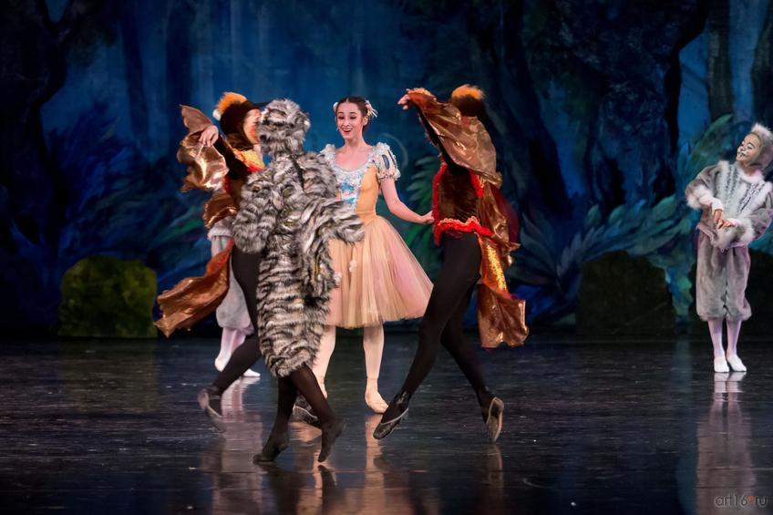 Фото №873519. Art16.ru Photo archive