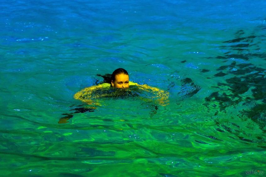 Фото №873809. Art16.ru Photo archive