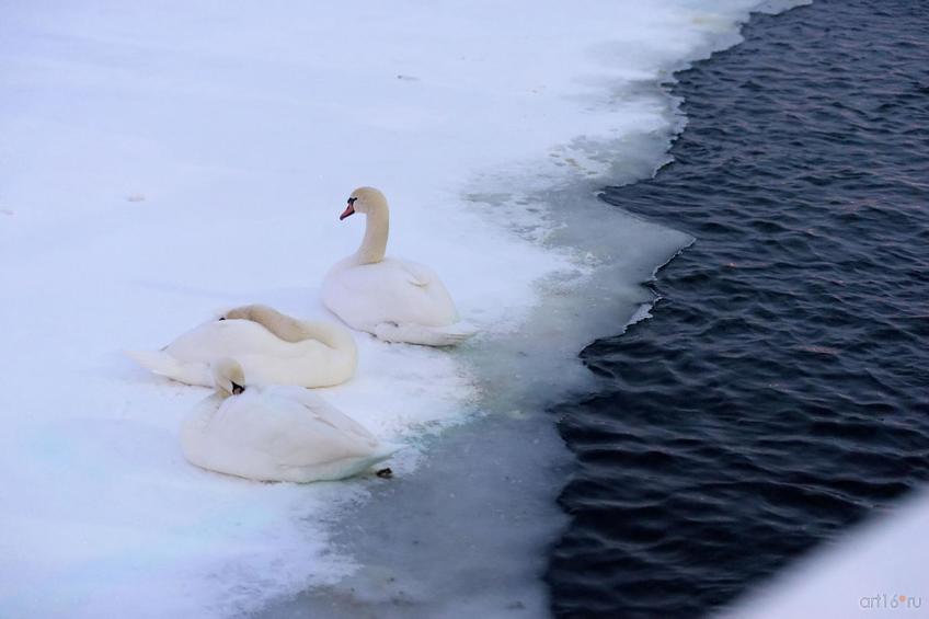 Фото №874851. Art16.ru Photo archive