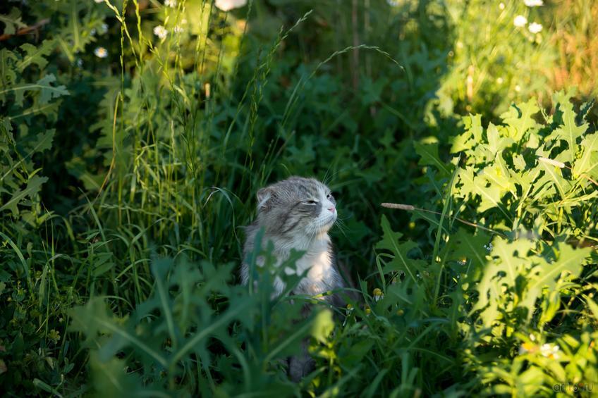 Фото №875420. Art16.ru Photo archive