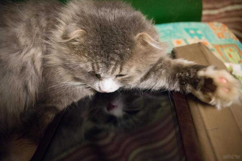 Фото №875426. Art16.ru Photo archive