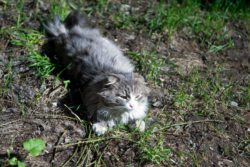 Фото №875432. Art16.ru Photo archive