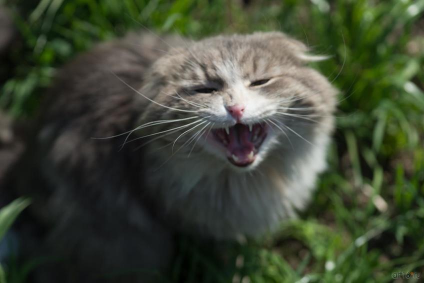 Фото №875438. Art16.ru Photo archive