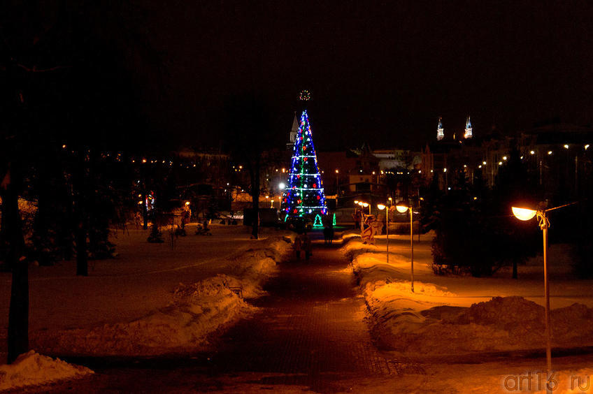 Фото №88848. Ёлка в парке "Черное озеро", Казань, 16.12.2011
