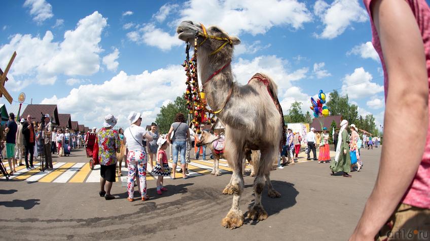 Фото №888912. Art16.ru Photo archive