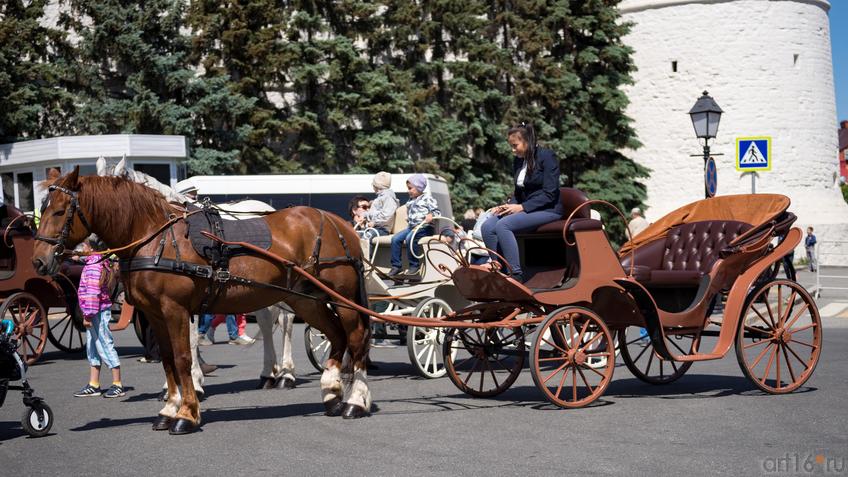 Фото №889542. Art16.ru Photo archive