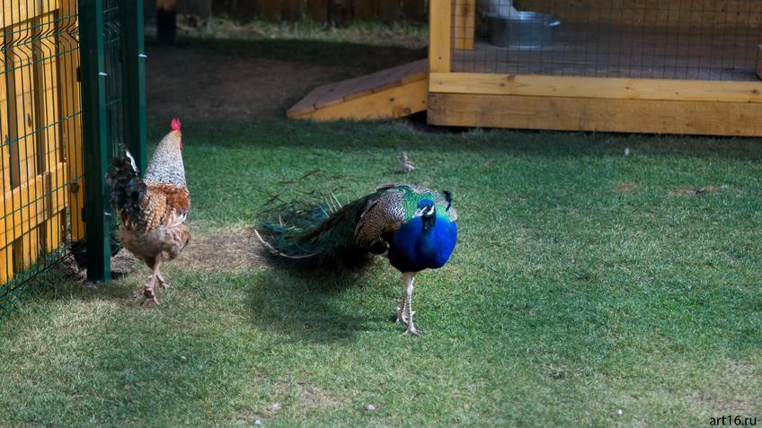 Фото №892103. Art16.ru Photo archive