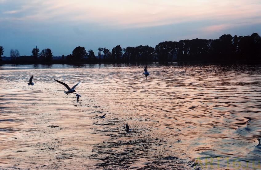 Фото №892721. Art16.ru Photo archive