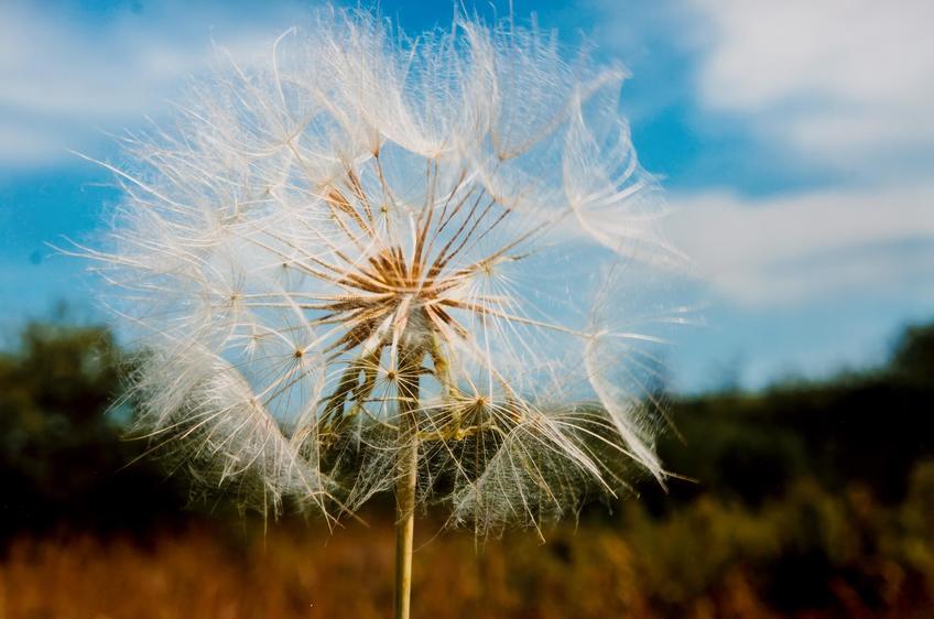 Фото №892729. Art16.ru Photo archive