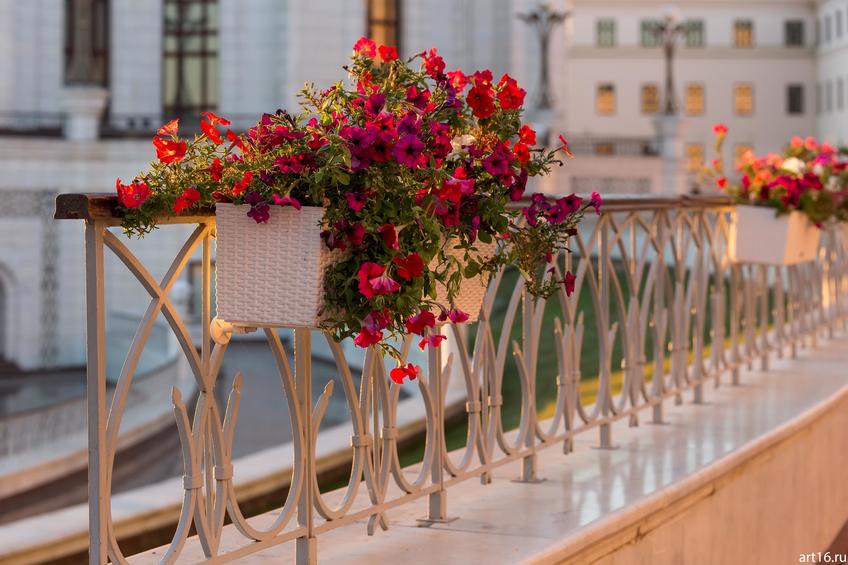 Фото №893541. Art16.ru Photo archive