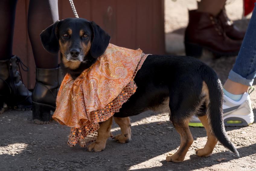 Фото №898041. Art16.ru Photo archive