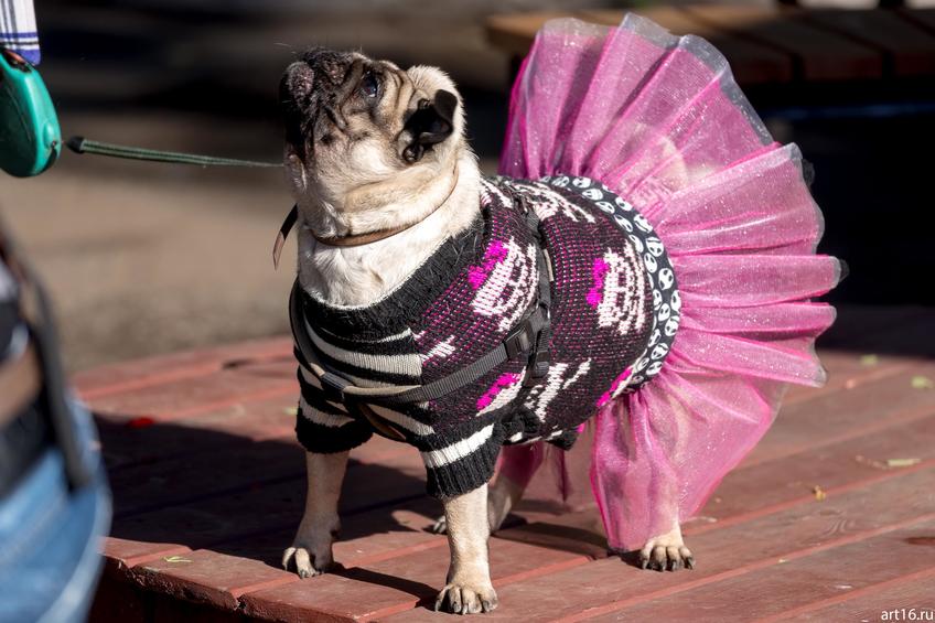 Фото №898053. Art16.ru Photo archive