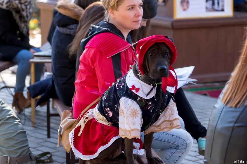 Фото №898061. Art16.ru Photo archive