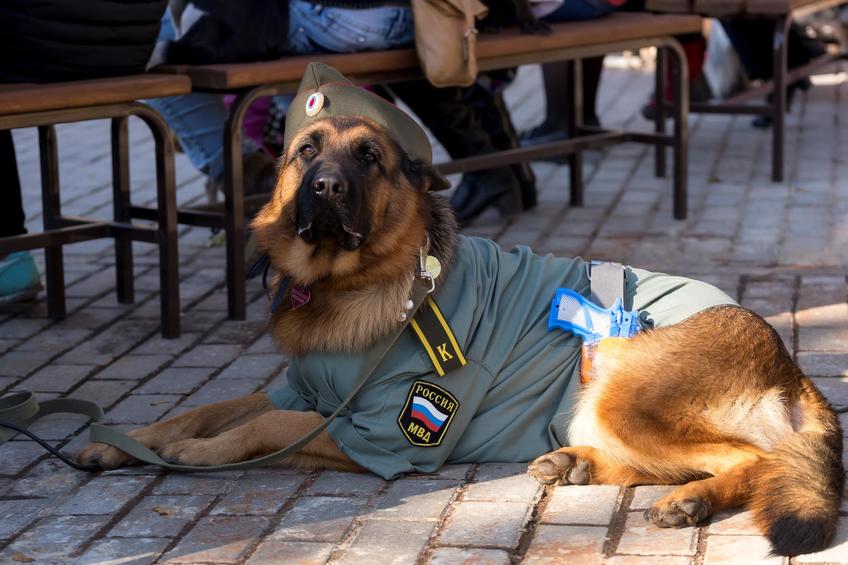 Фото №898069. Art16.ru Photo archive