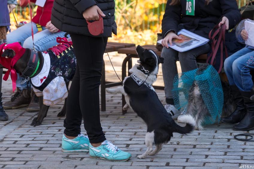 Фото №898097. Art16.ru Photo archive