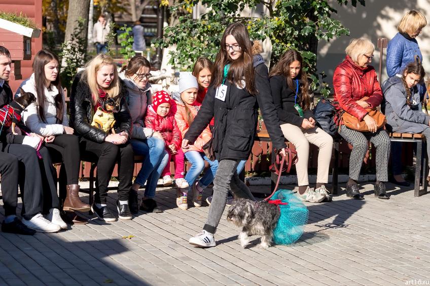 Фото №898125. Art16.ru Photo archive