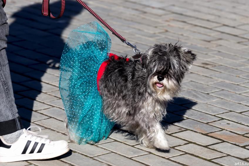 Фото №898129. Art16.ru Photo archive