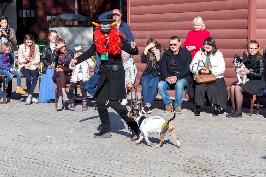 Фото №898133. Art16.ru Photo archive