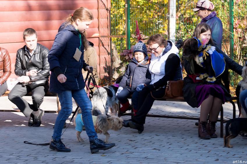 Фото №898145. Art16.ru Photo archive