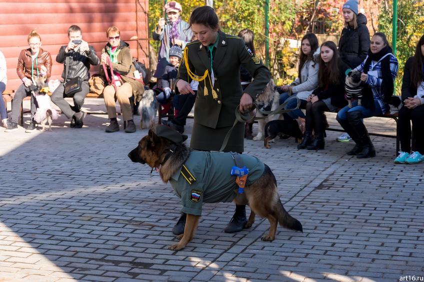 Фото №898149. Art16.ru Photo archive