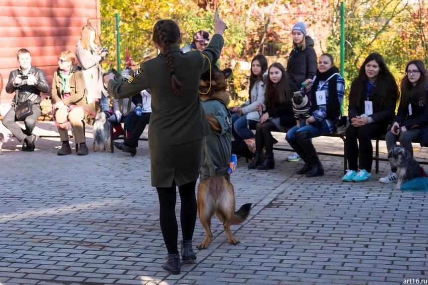 Фото №898153. Art16.ru Photo archive