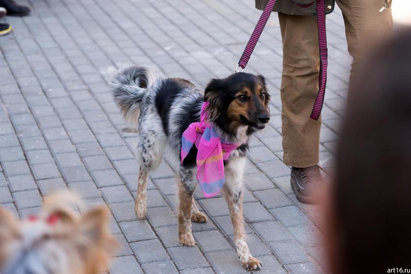 Фото №898161. Art16.ru Photo archive