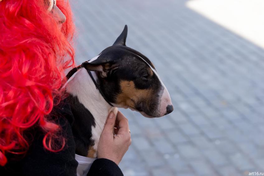 Фото №898173. Art16.ru Photo archive