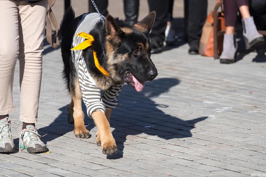 Фото №898177. Art16.ru Photo archive