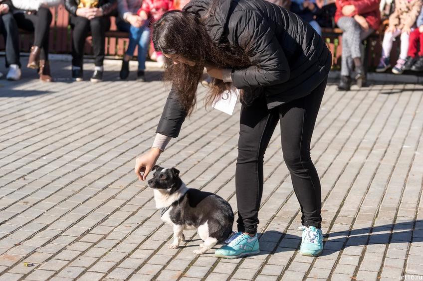 Фото №898185. Art16.ru Photo archive