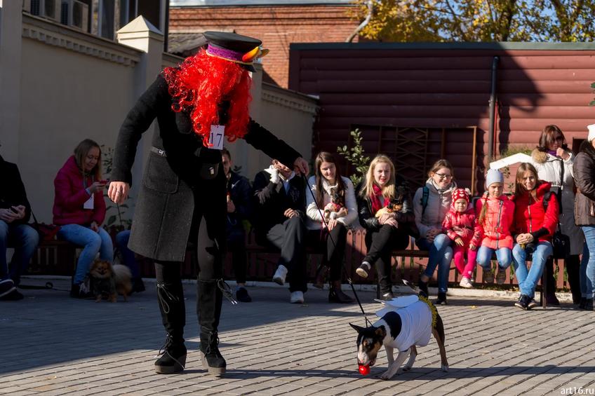 Фото №898217. Art16.ru Photo archive