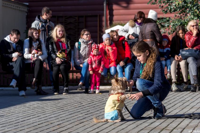 Фото №898237. Art16.ru Photo archive