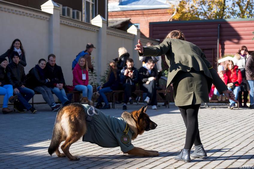 Фото №898245. Art16.ru Photo archive