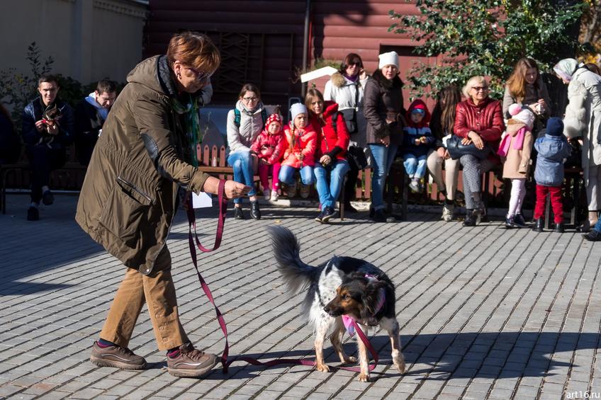 Фото №898249. Art16.ru Photo archive