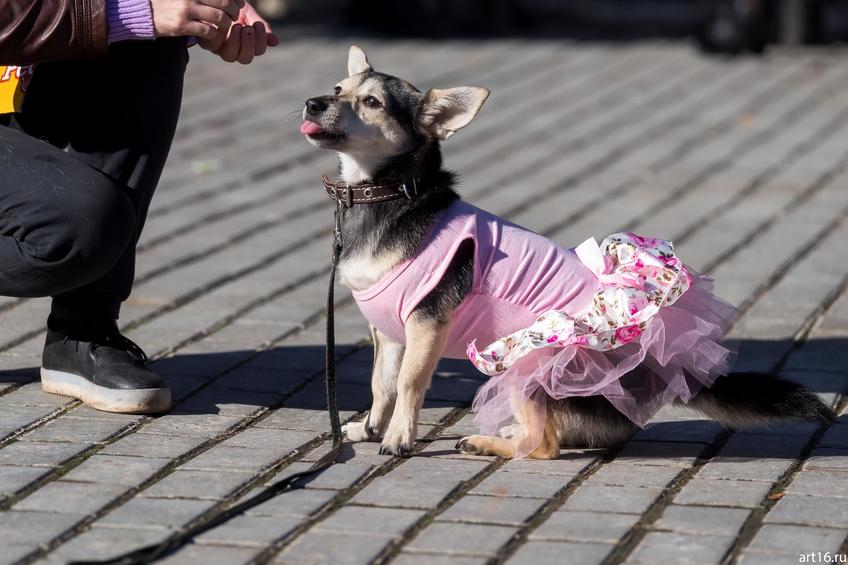 Фото №898269. Art16.ru Photo archive