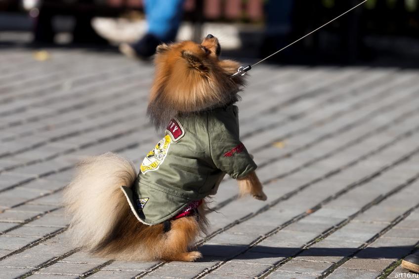 Фото №898277. Art16.ru Photo archive